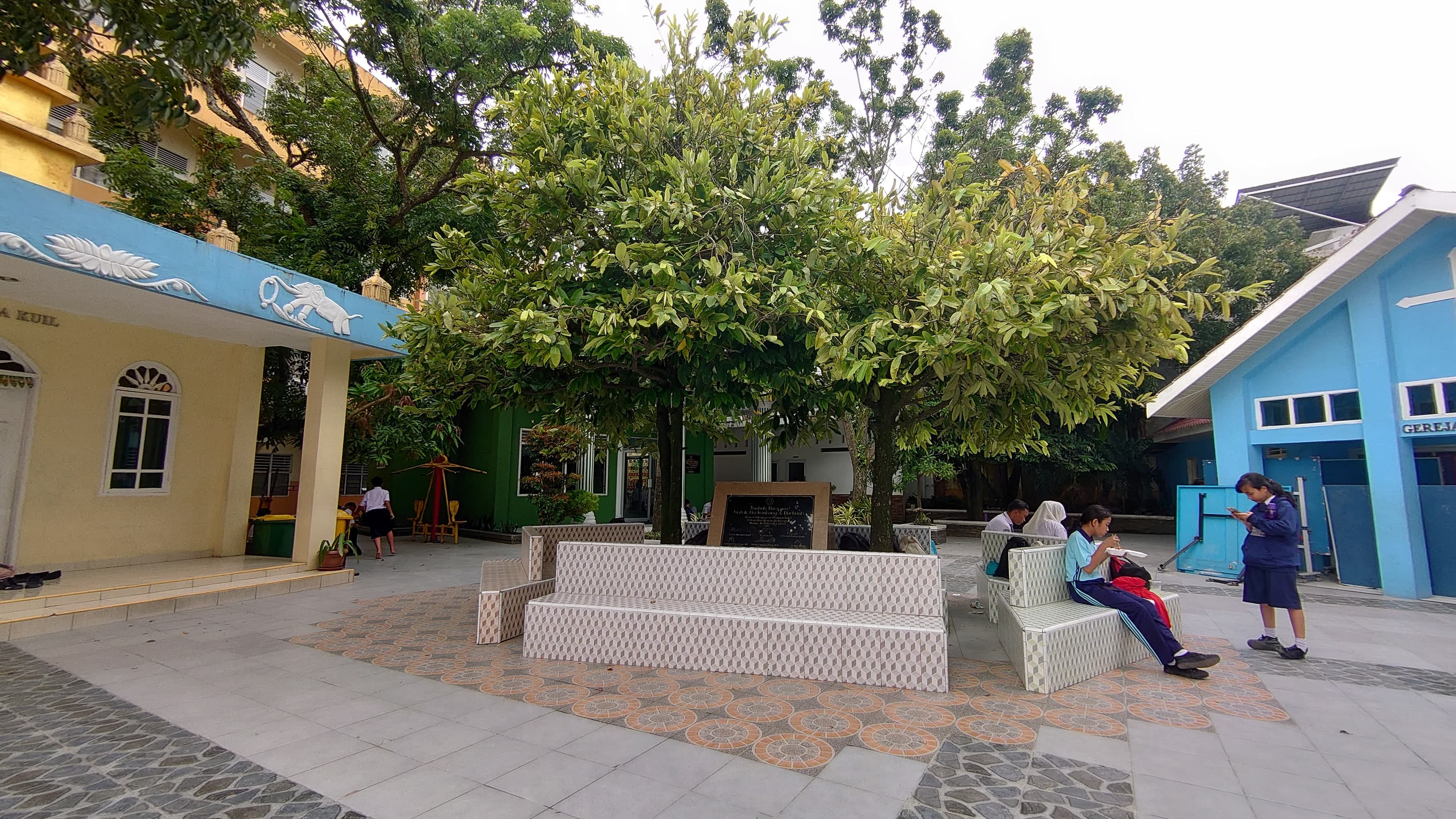 Pohon Bisbul Yayasan Perguruan Sultan Iskandar Muda